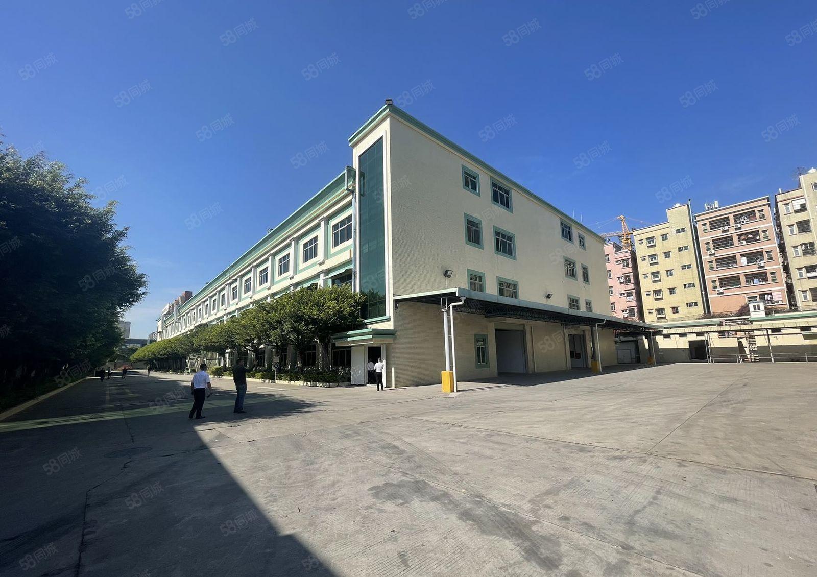 塘厦新出园区厂房 钢构形象佳 可整租可分租 1300平