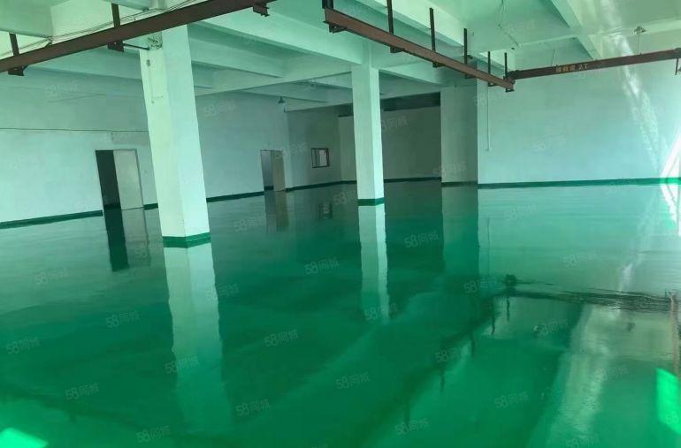 塘厦桥陇二楼450平全新地坪漆装修带航车，可做注塑胶带设备