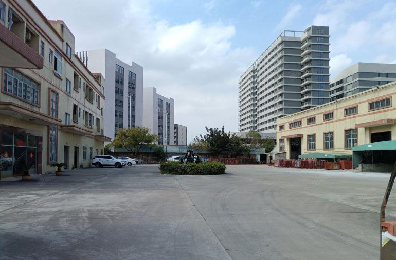 香港房东，塘厦镇单一层独院厂房出租，格局方正，空地大，面积小