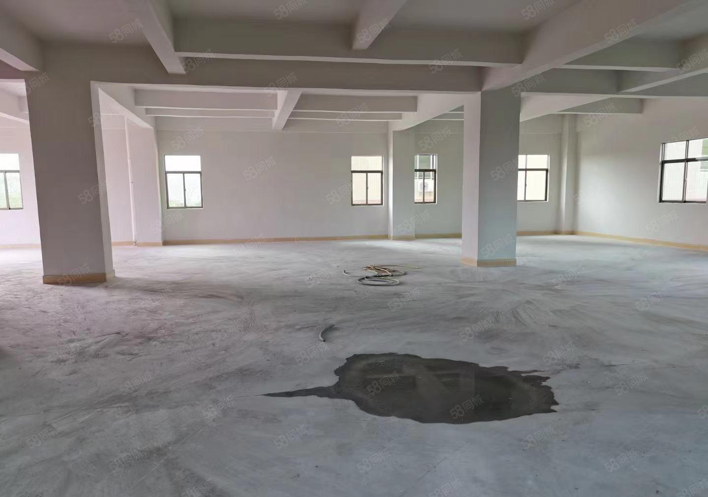 塘厦凤凰岗500平小面积厂房招租，可做噪音行业，特价13元！