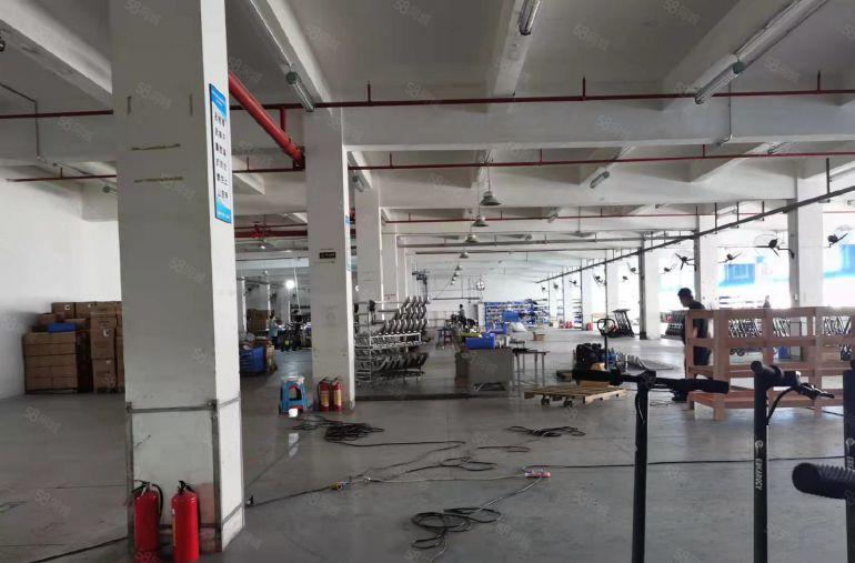 原房东！塘厦石鼓独院5000平实际面积低价厂房仓库出租