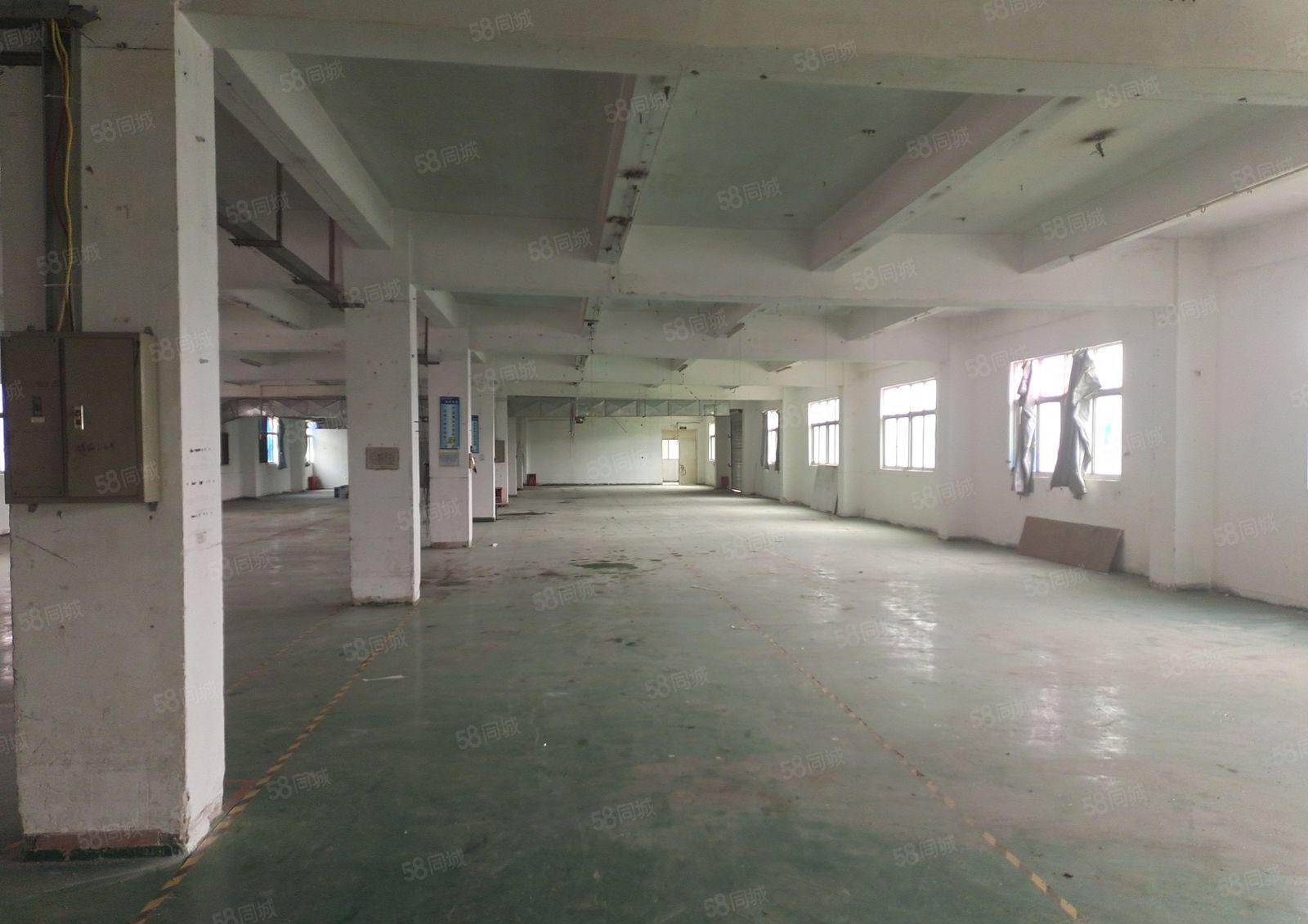 塘厦一楼500平现成物流仓库 独门独院 随时可看可定