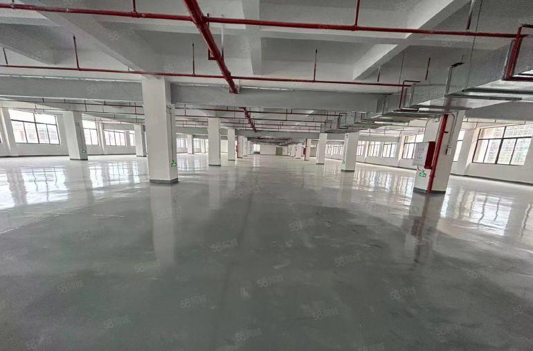 塘厦桥陇原房东直租楼上5000平，全新地坪漆精装修，消防合格