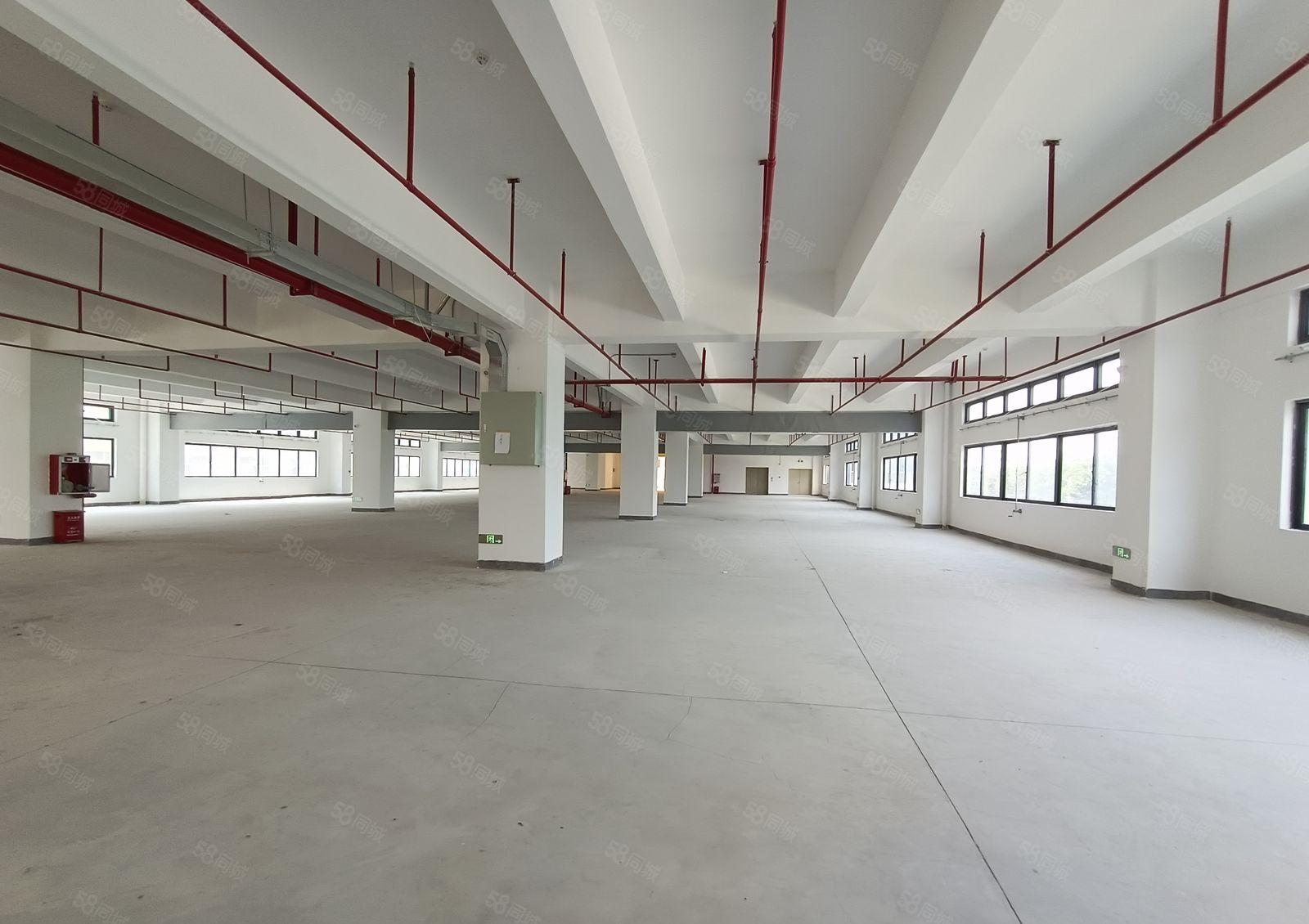 塘厦沙湖全新红本厂房15000平方招租！带消防喷淋，大小分租