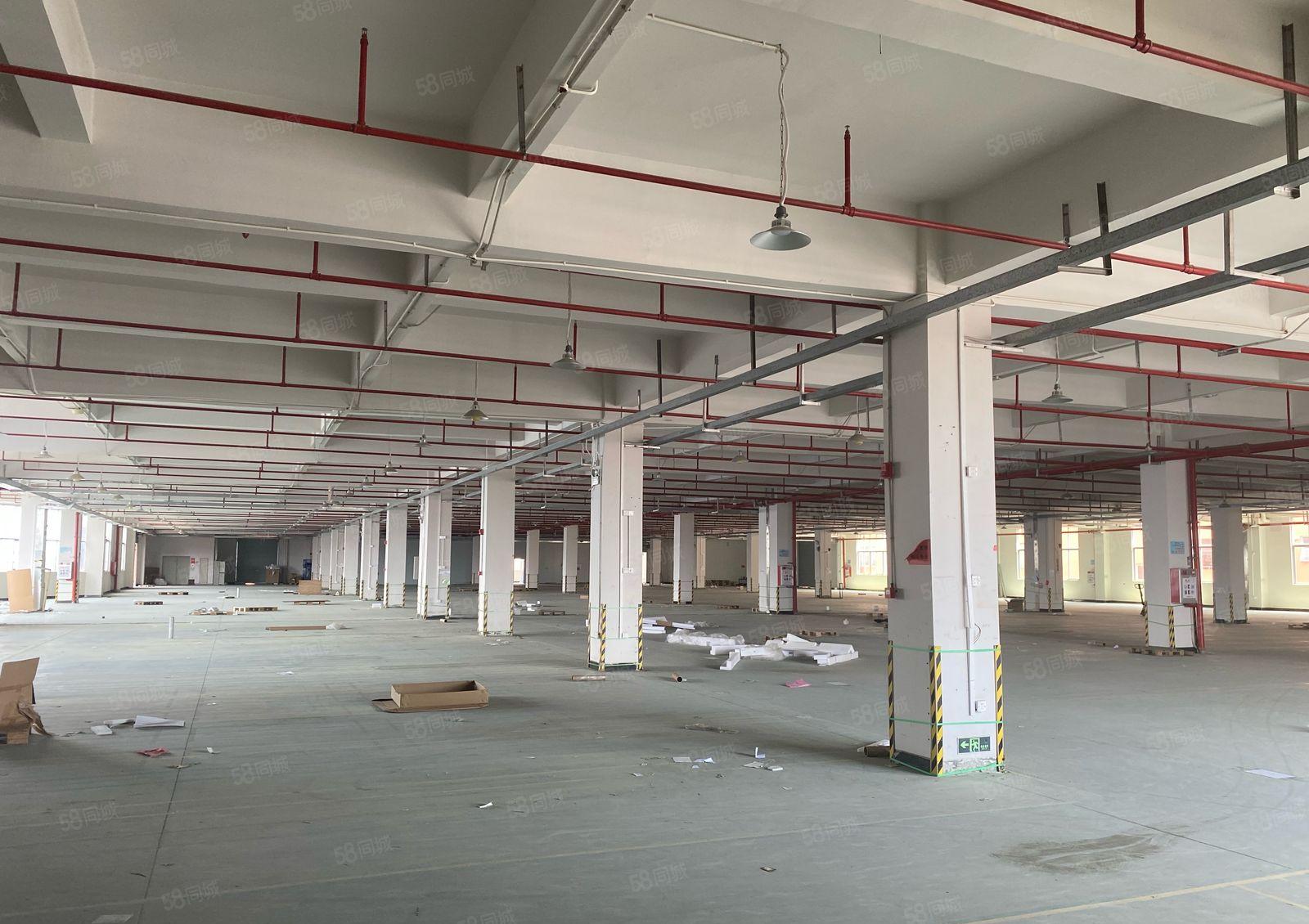 塘厦石鼓原房东实际面积楼上新空出5000平方大小分租空地大