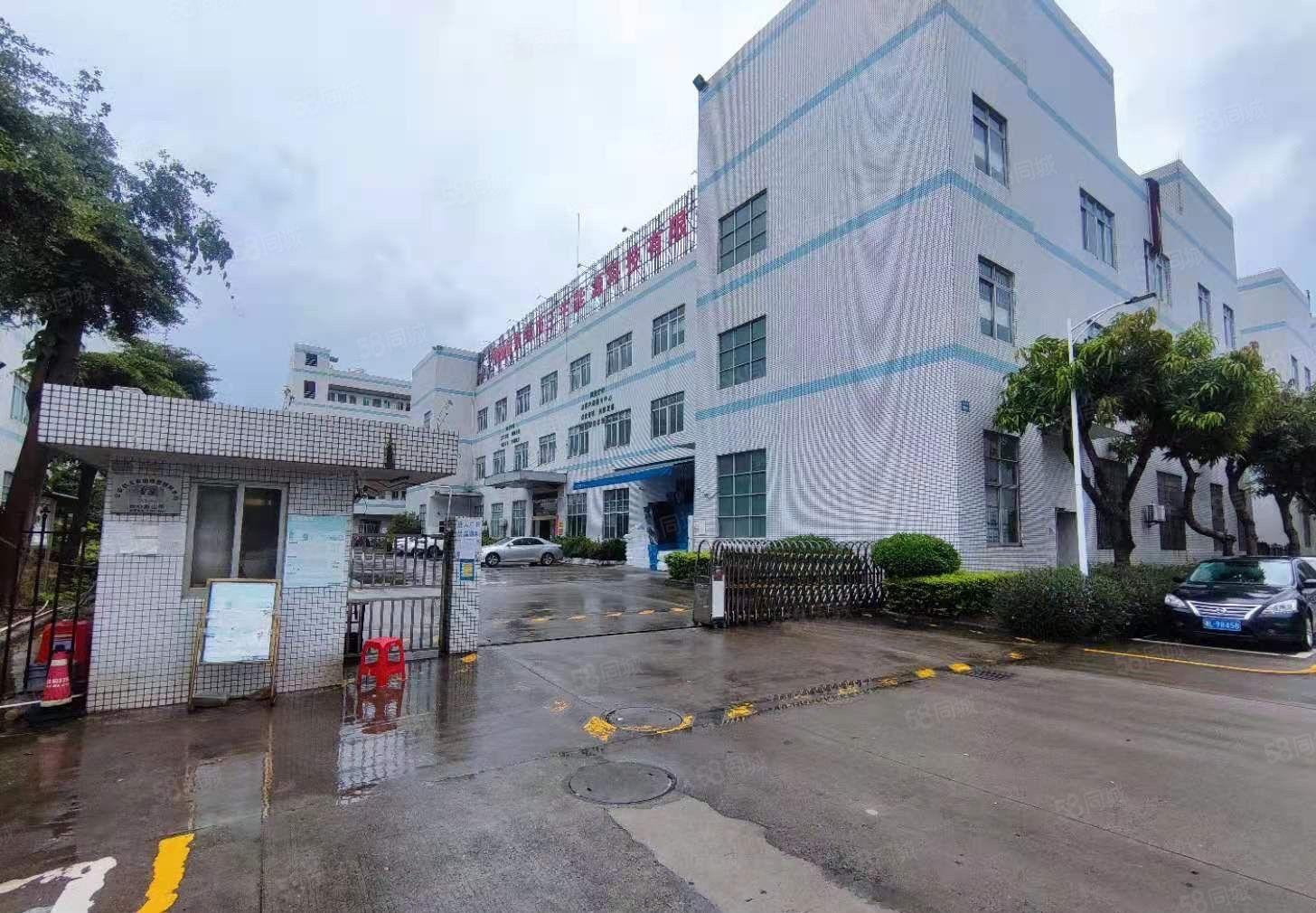 塘厦科苑城原房东厂房出租， 单层面积1950，可分租！