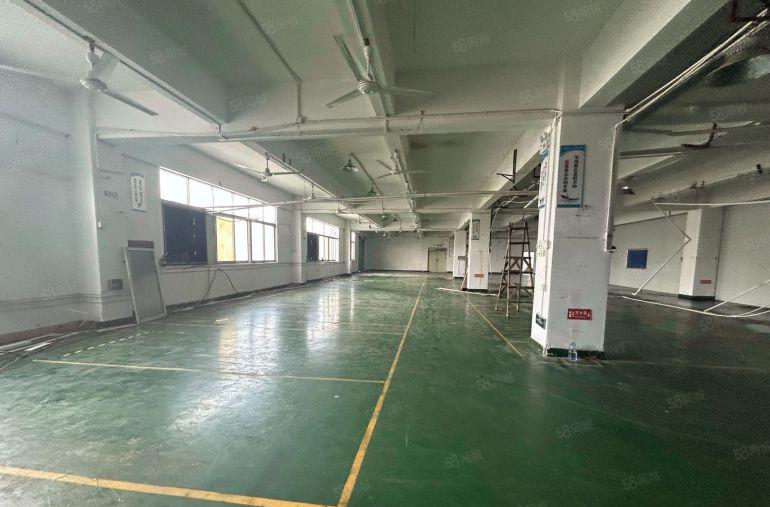 塘厦平山标准厂房1280平可分租，隔好办公室精装修，零公摊