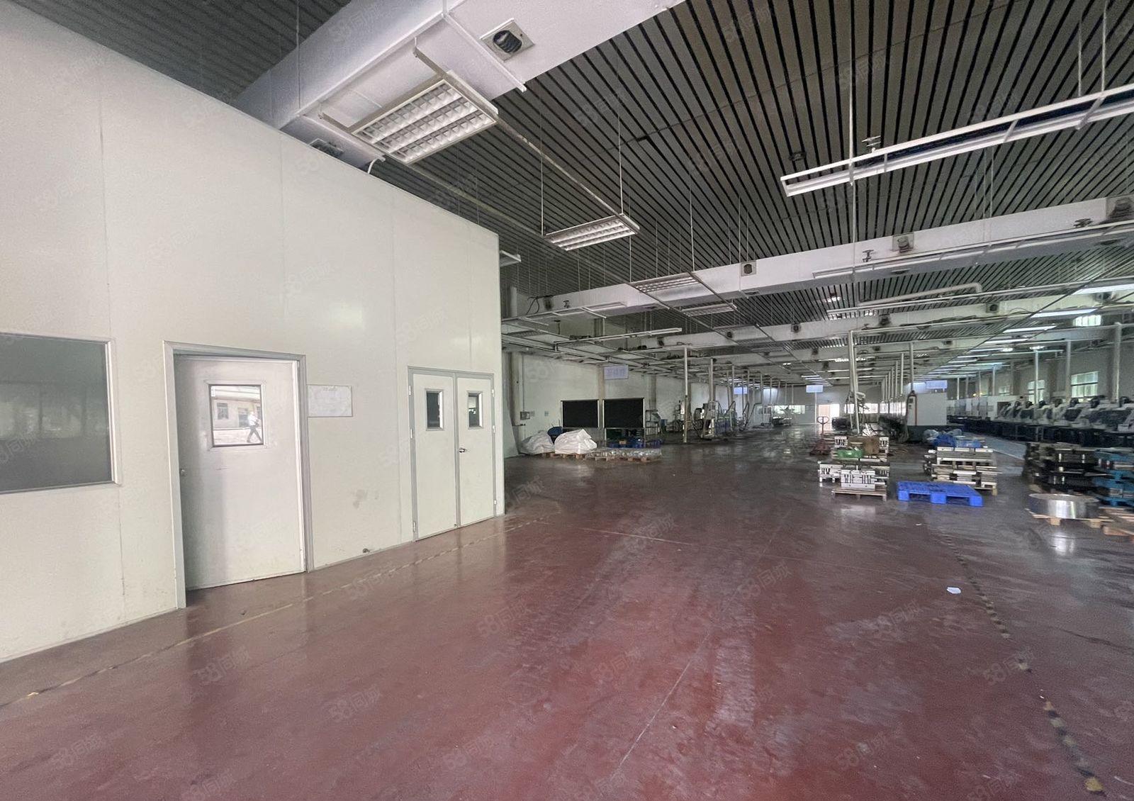 塘厦新出园区厂房 钢构形象佳 可整租可分租 1300平