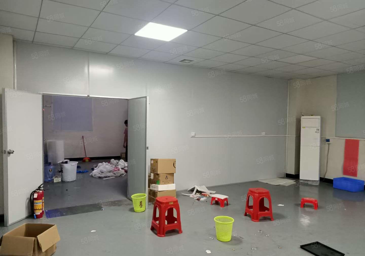 塘厦原房东实际面积出租252平，无转让费主线到位全新地坪漆