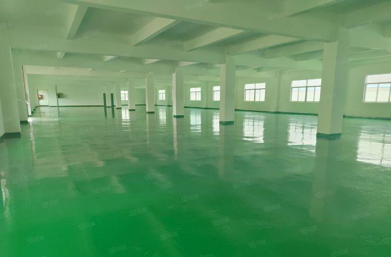 塘厦石鼓大工业区原房东红本厂房出租标准一楼实际面积可办环评