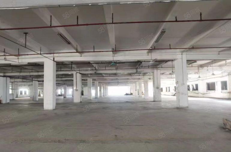 出租塘厦横塘工业区带装修厂房出租600平，适合做电子，仓库等