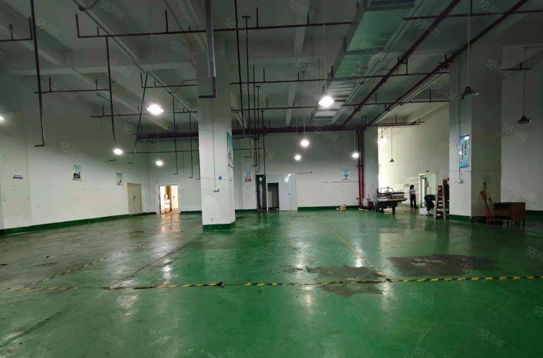 塘厦一楼1000平层高6.5米，带阁楼办公室，水电已到车间形