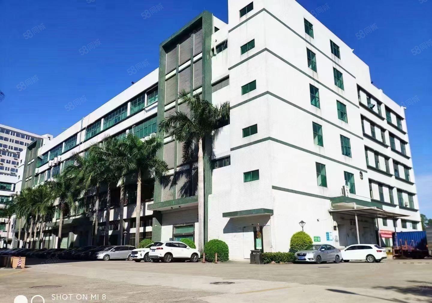 塘厦科苑城原房东实际面积楼上1500平方全新地坪漆精装出租