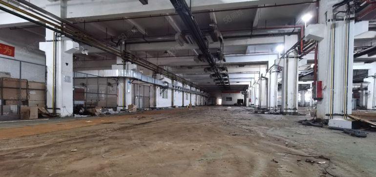 0公摊塘厦石潭埔厂房出租本地房东直租厂房仓库电商一到3层