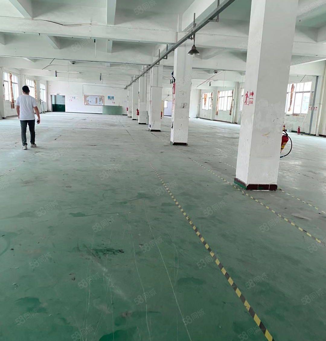 塘厦石潭布标准2楼1300平！地坪漆装修