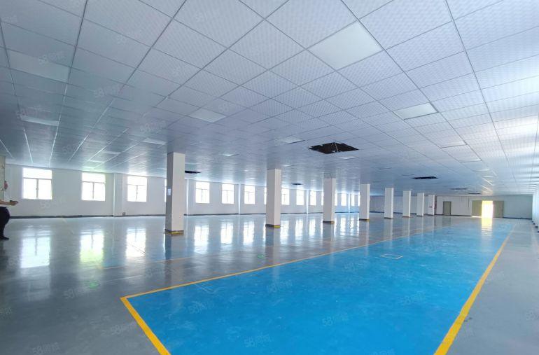 塘厦四村二楼精装洁净车间1560平，园区位置好招工，免租期长