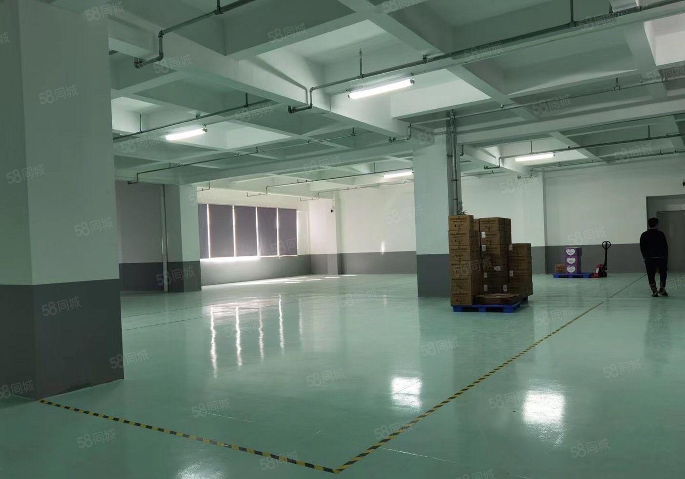 塘厦莆心湖工业区新出三楼2650平方全新装修可分租