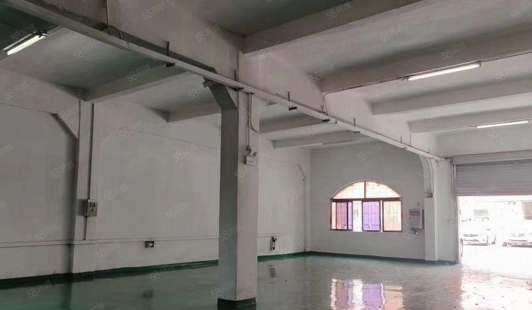 塘厦振兴围1楼550平带办公室全新地平漆工业厂房出租