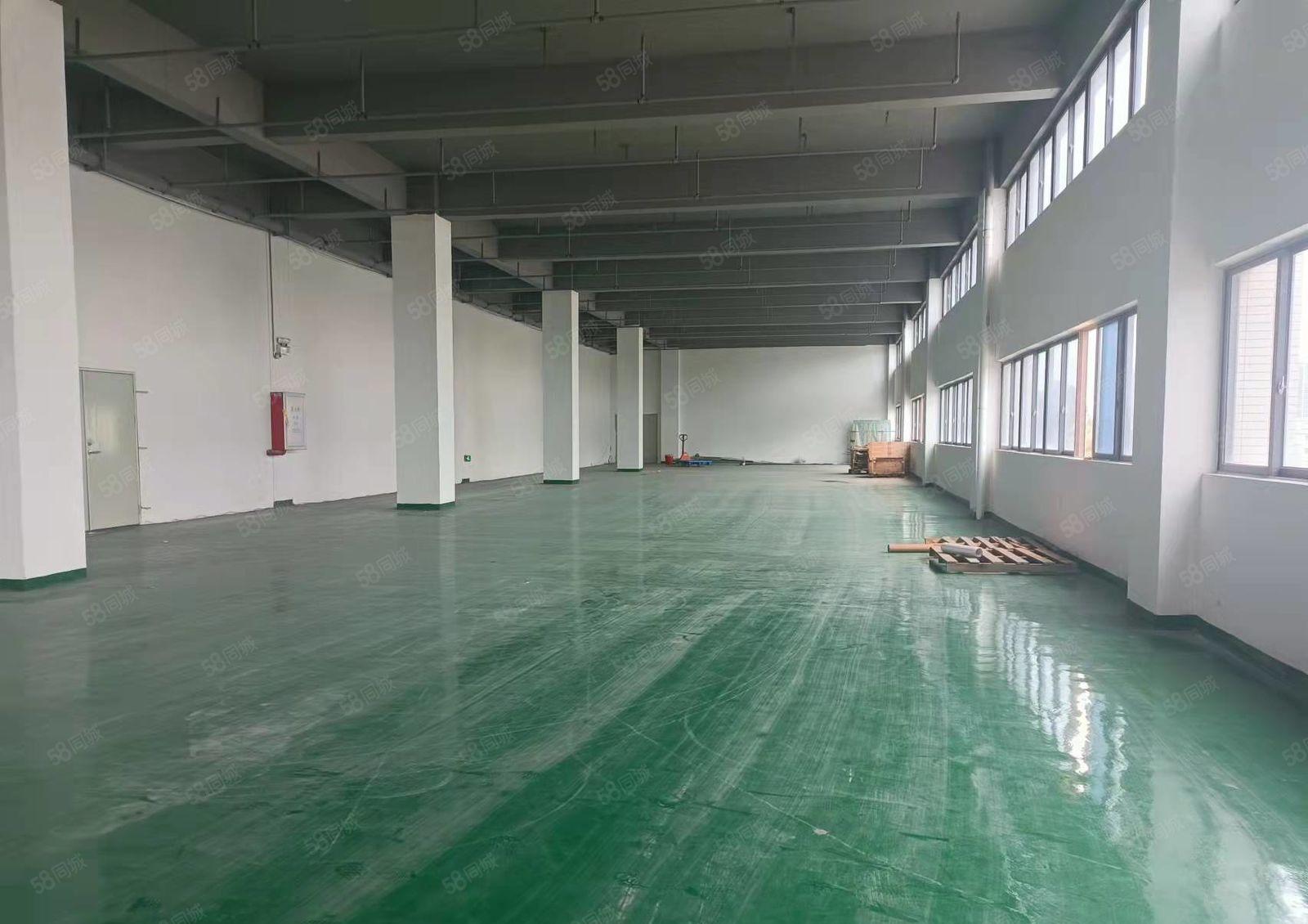 15元全包红本双证厂房300平起分！配电大合同长空地大免费用