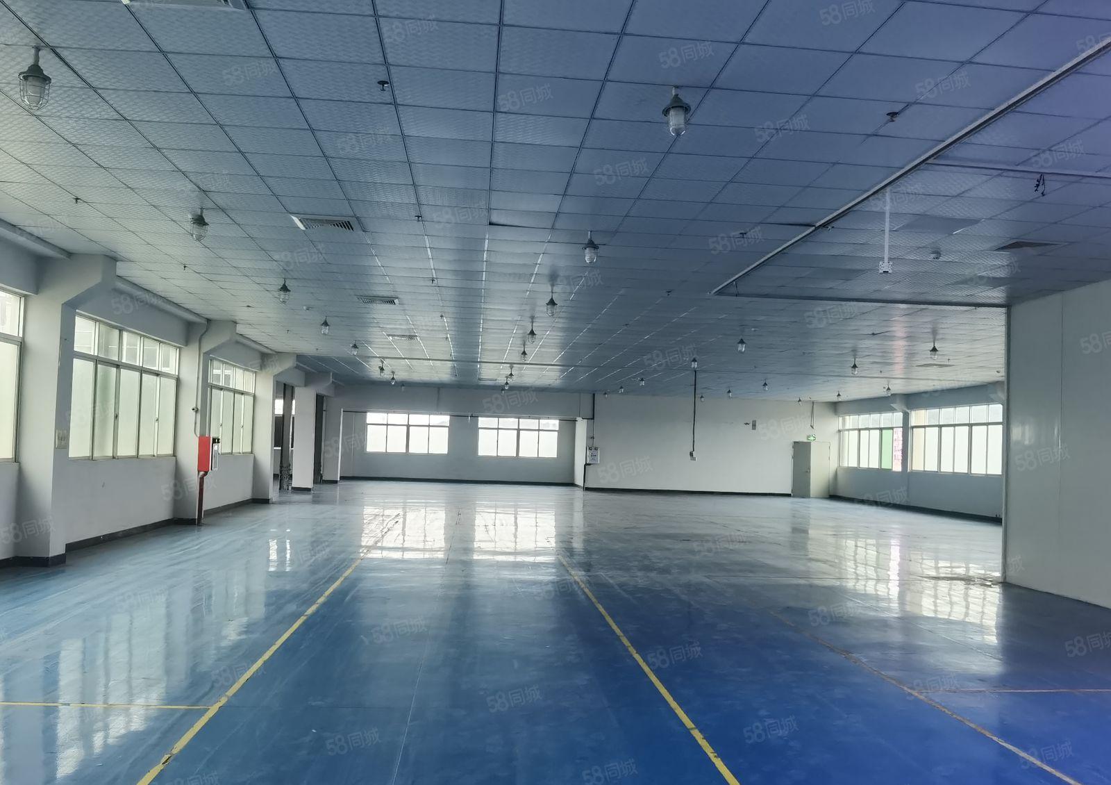 塘厦科苑城厂房实际面积1600平 全新 现成装修 可按需分租