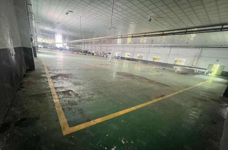 超大平层钢构厂房低价出租，整层吊顶装修无柱子，空地大可进大车
