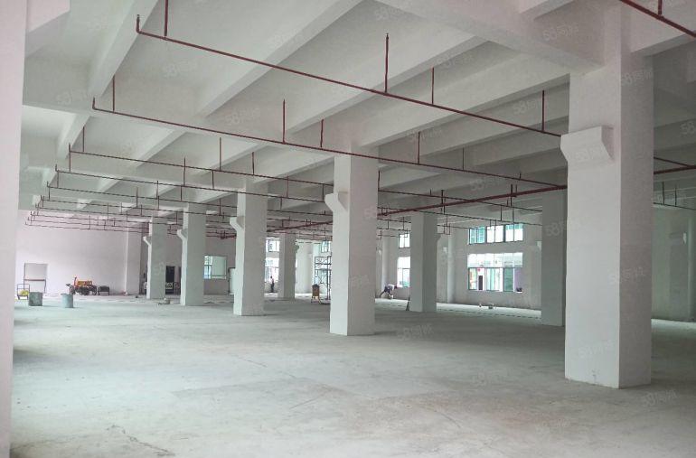 塘厦石鼓工业区独院厂房出租5000平米可分租500平米起分租