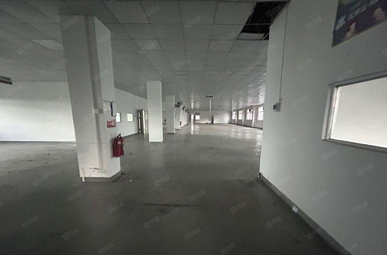 塘厦蛟乙塘独院标准4楼1680平方，全层吊顶地坪漆精装修！