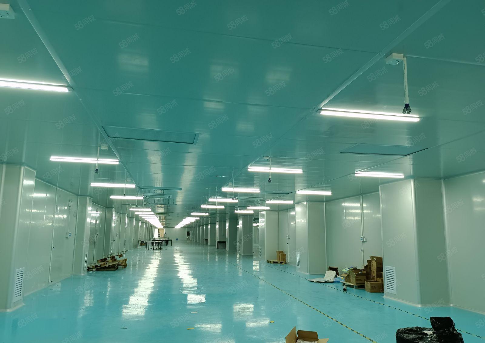 塘厦平山惊现1500平带精装修，水电齐全，可低价甩！