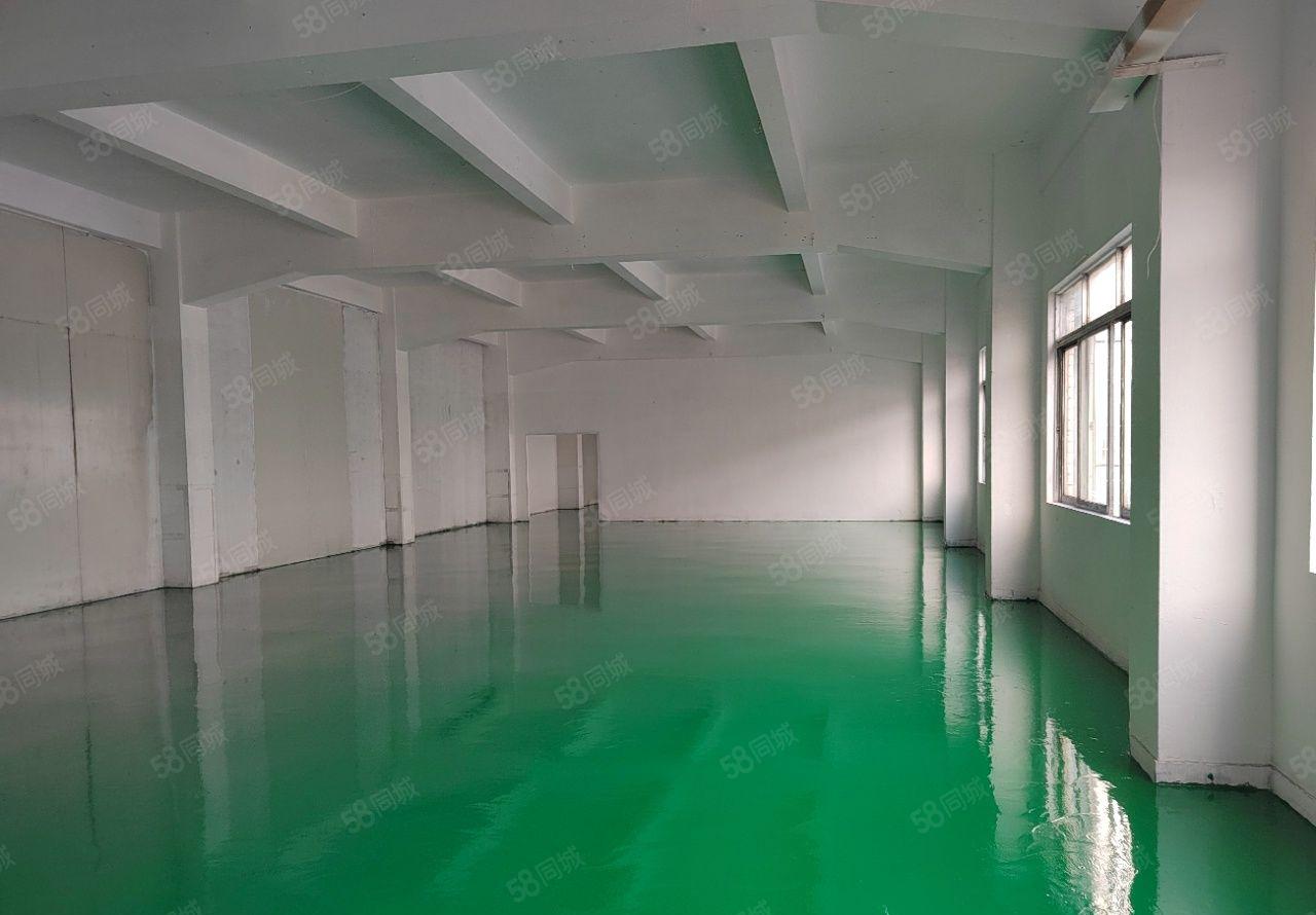 300平起出租塘厦科苑城独院1200平全新地坪漆水电已到车间