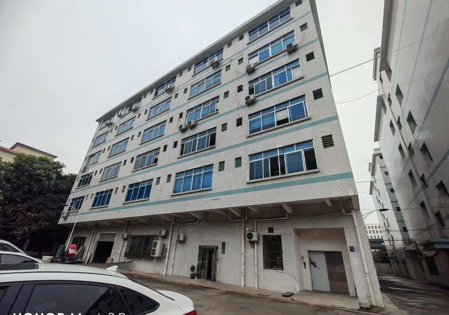 年底特惠！塘厦大坪3楼1000平带办公室装修现成线路大车可进