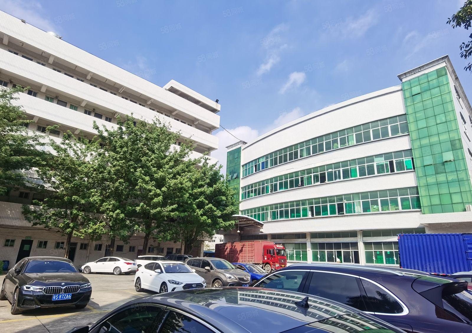 塘厦中心清湖头新出村委楼上一整层1800平带装修厂房仓库出租