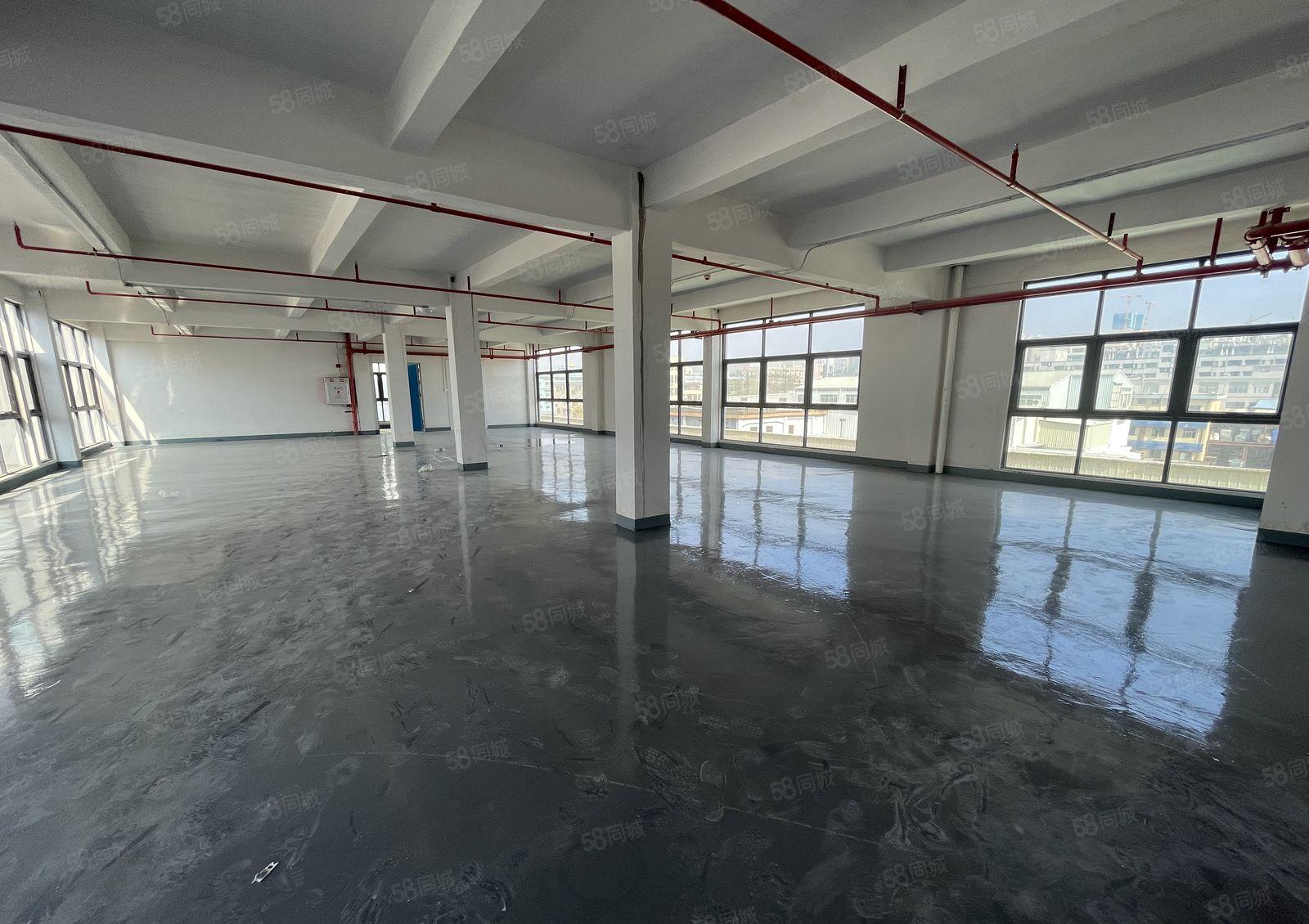 塘厦科苑城标准二楼1800平大型工业园厂房招租，采光好，拎包