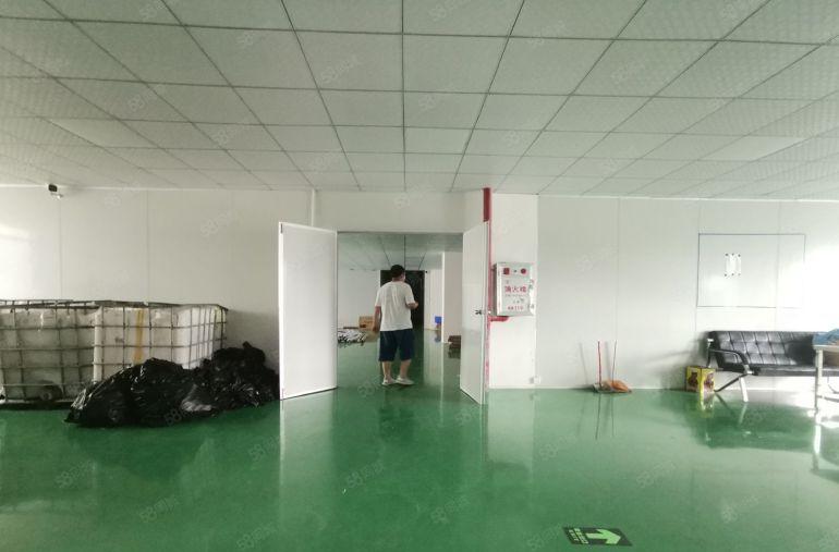 田心原房东红本工业园免装修无尘车间1800平，价格优惠好招工