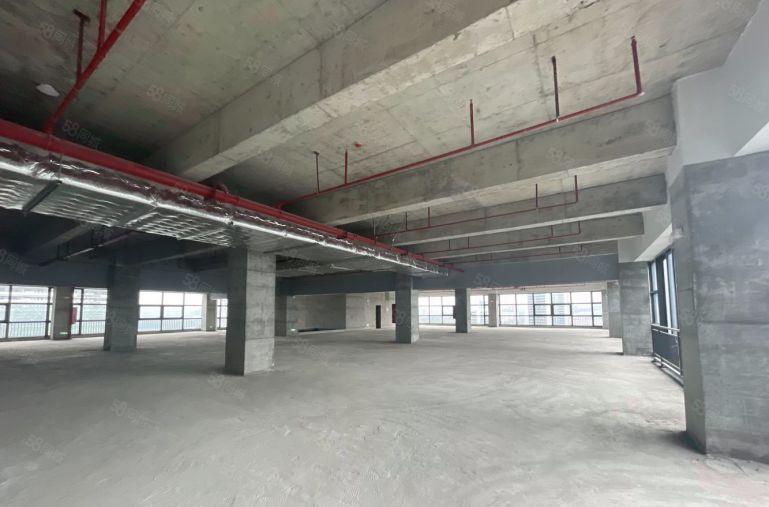 雁田京东智谷 500平至2万平招租 可分租免租长 适合各行业