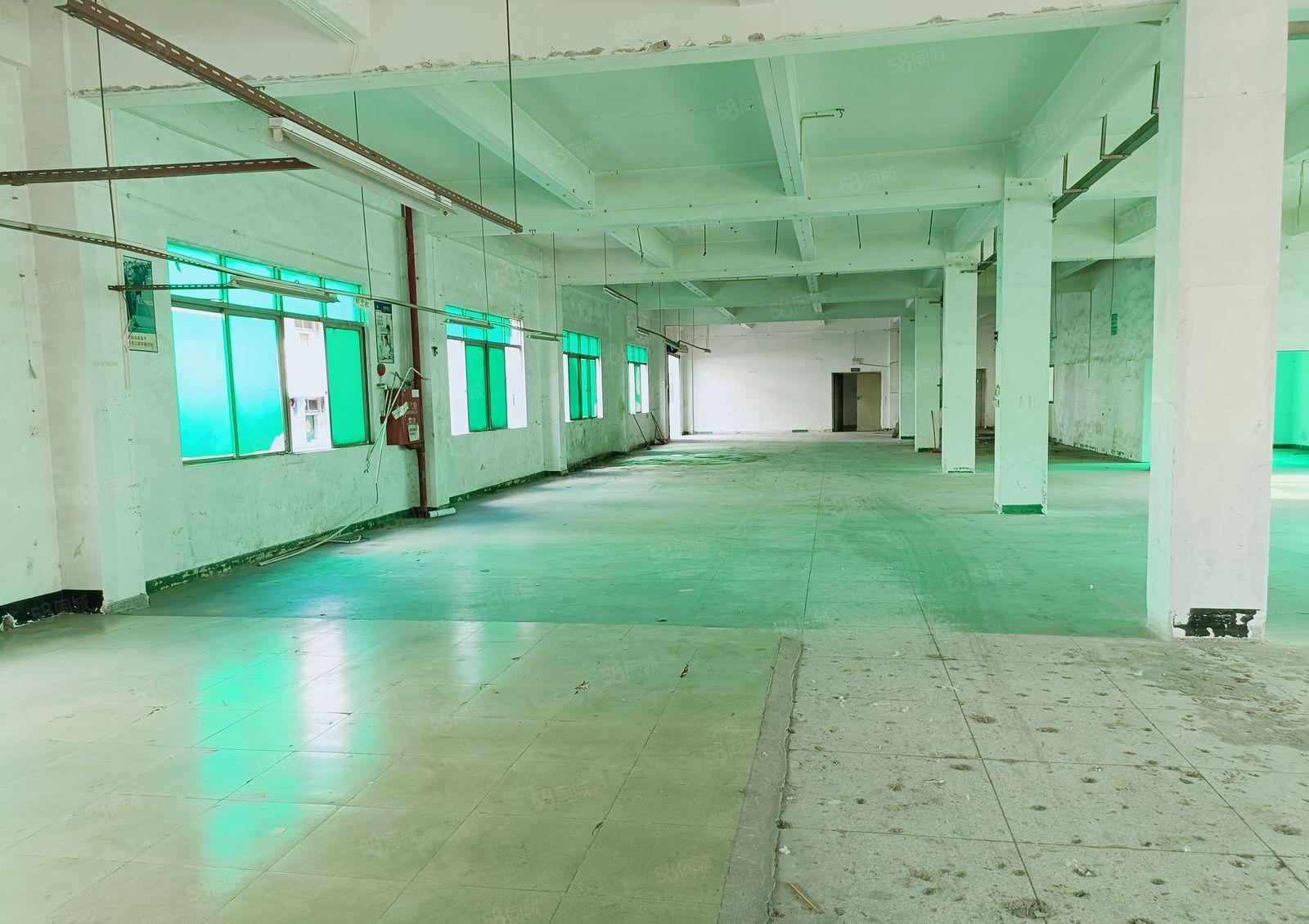 塘厦石鼓新出楼上3000平厂房出租，有办公室，园区空地大