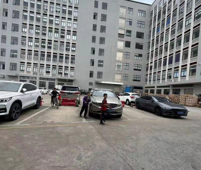 塘厦蛟乙塘原房东直租5楼1450平方，全层吊顶地坪漆精装修！