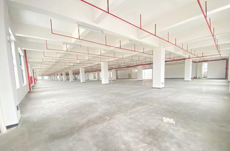 塘厦  原房东  特价6元  适合电子五金注塑家具纸箱等等