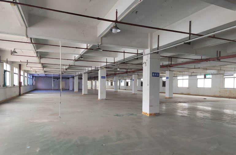 塘厦镇高速出口附近 原房东标准独院8000平厂房出租带装修