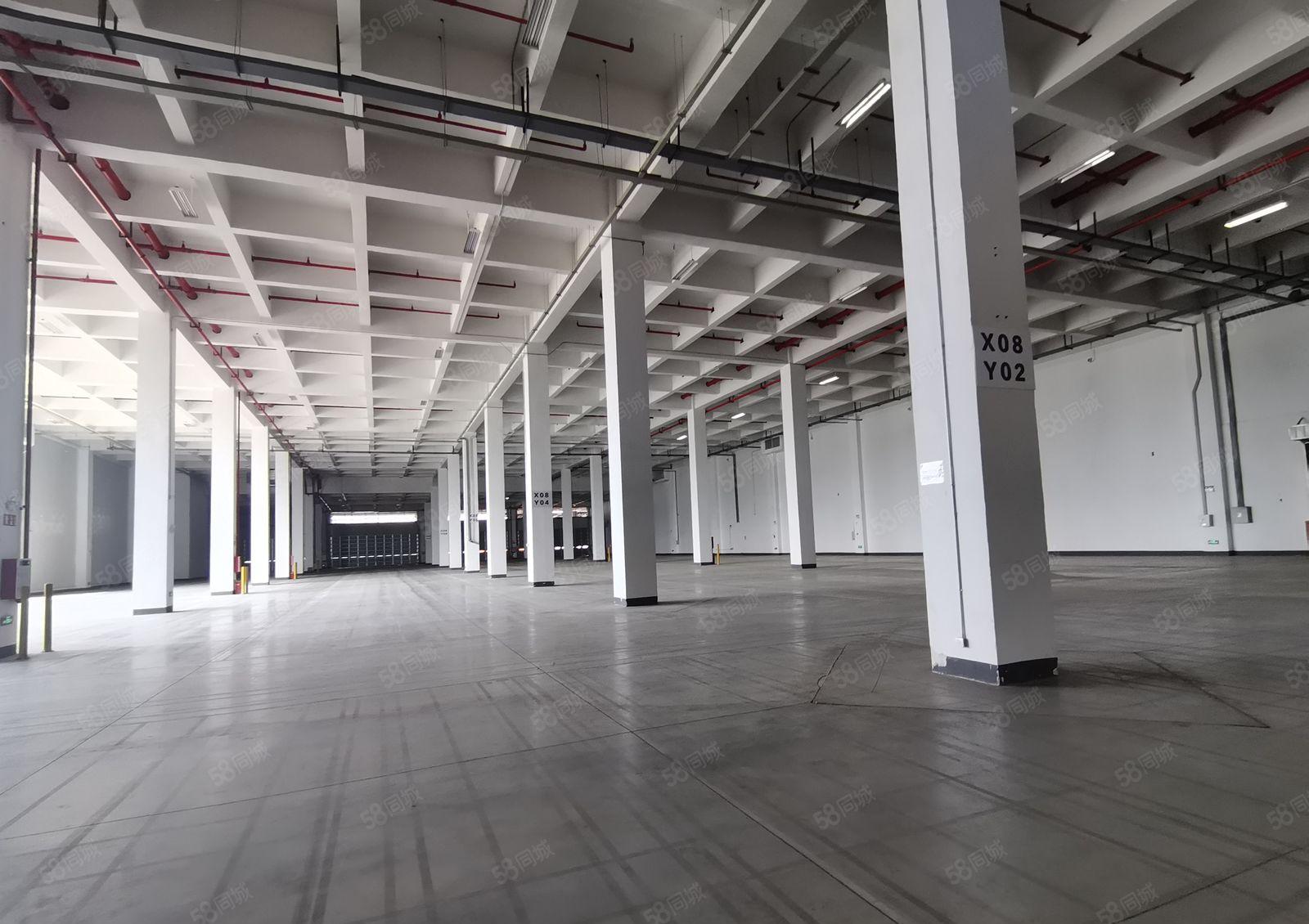 塘厦大坪高速独门独院2880平红本仓库厂房出租可分租可办环评