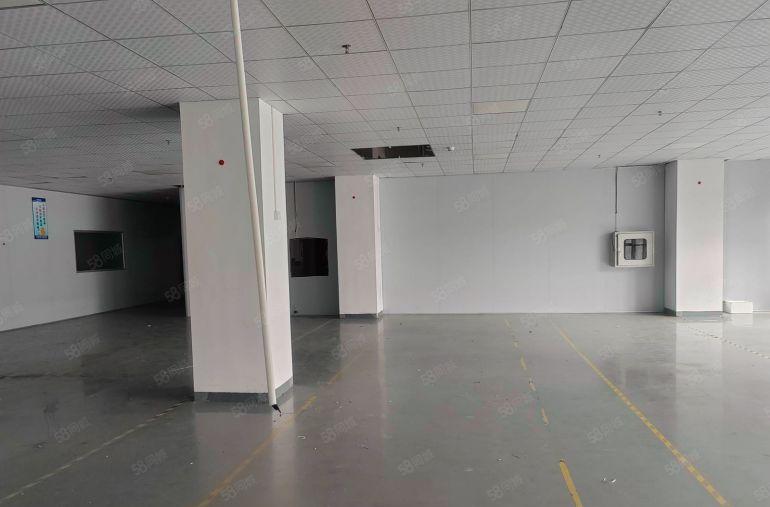 东莞塘厦精装修3楼1680平零公摊13元原房东厂房出租