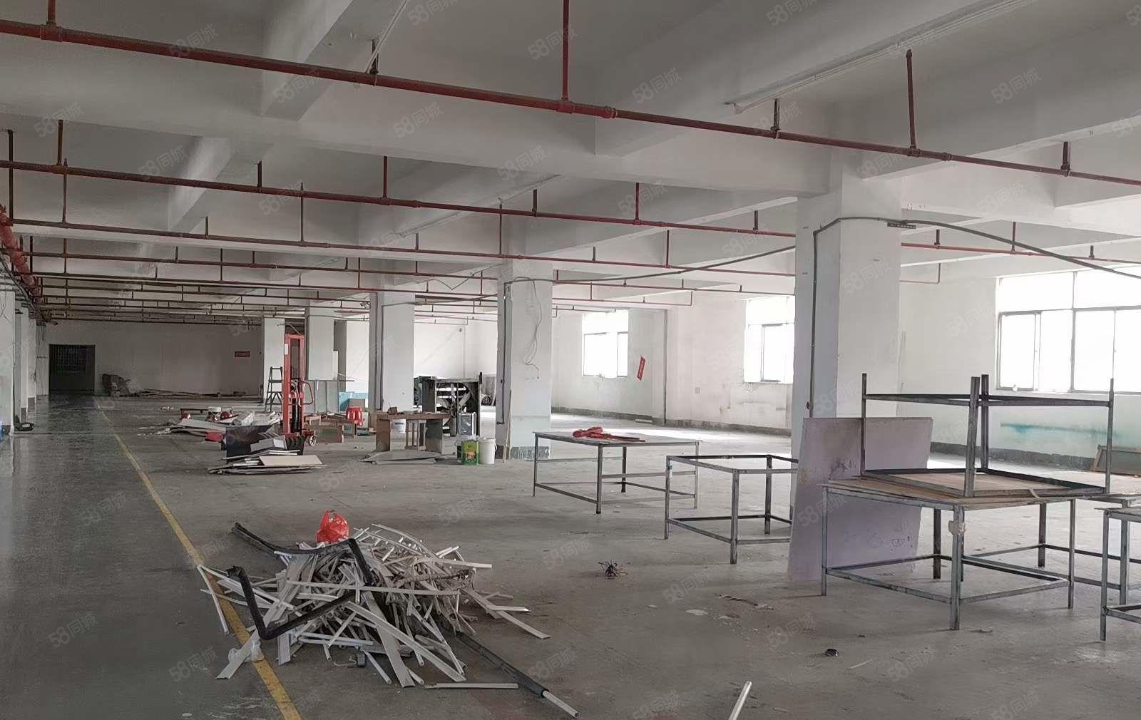 塘厦沙湖近深圳观兰，楼上2500平厂房出租，精装修办公室，