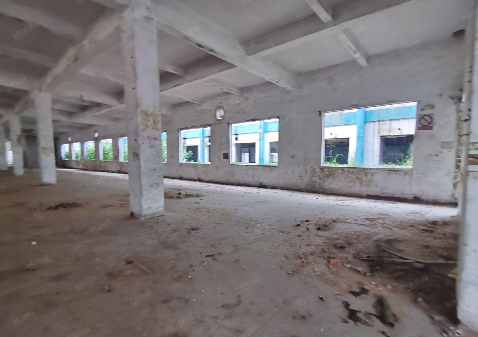 2百平起分租塘厦石鼓工业区独院3千平红本仓库厂房出租空地超大