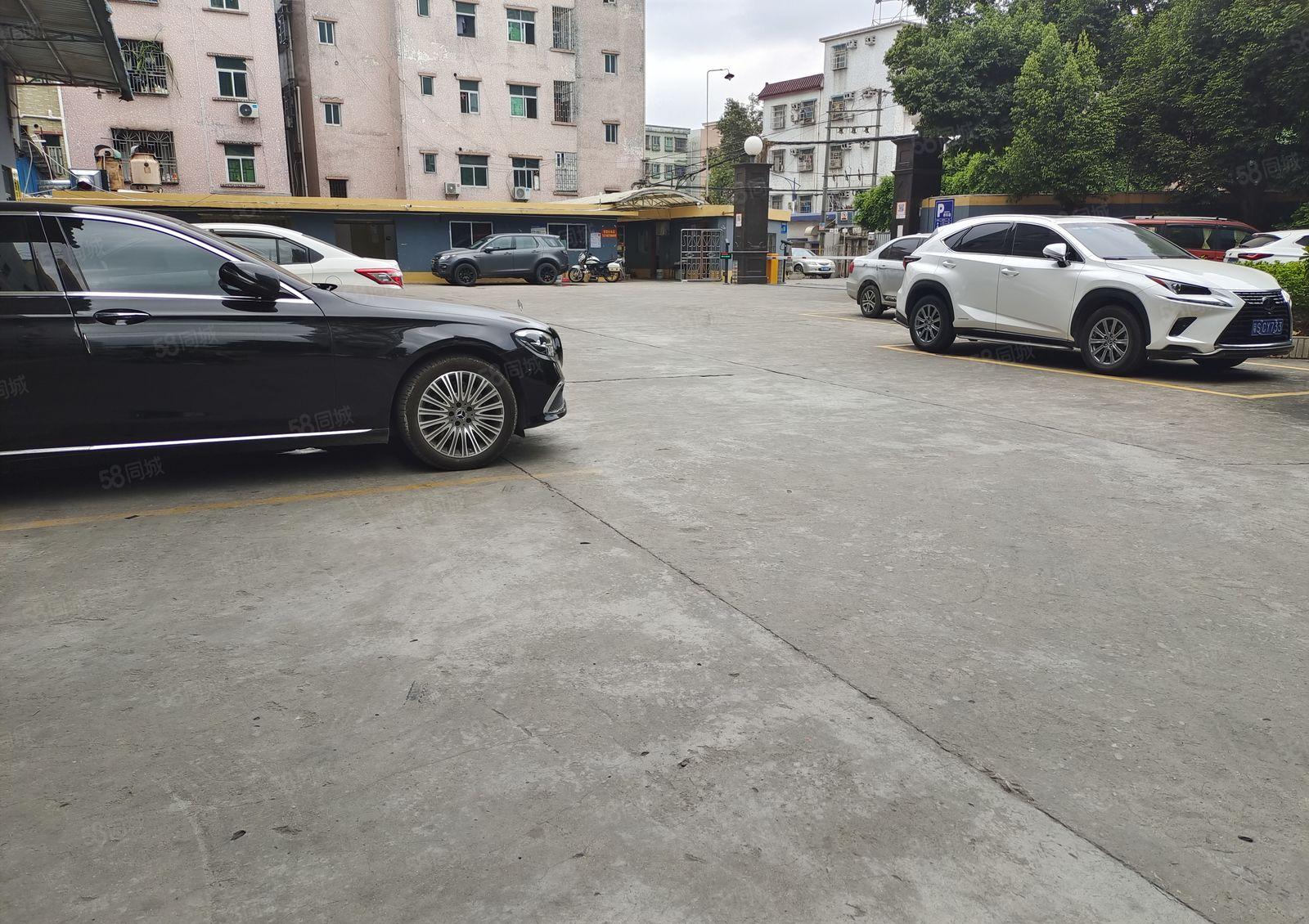 东莞塘厦镇横塘新出一楼厂房，面积是1200平方，高度有5米