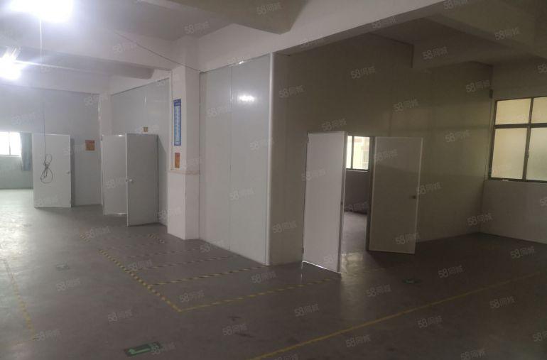 塘厦豪华精装修厂房，水电到车间，2吨电梯，交通便利，临近深圳