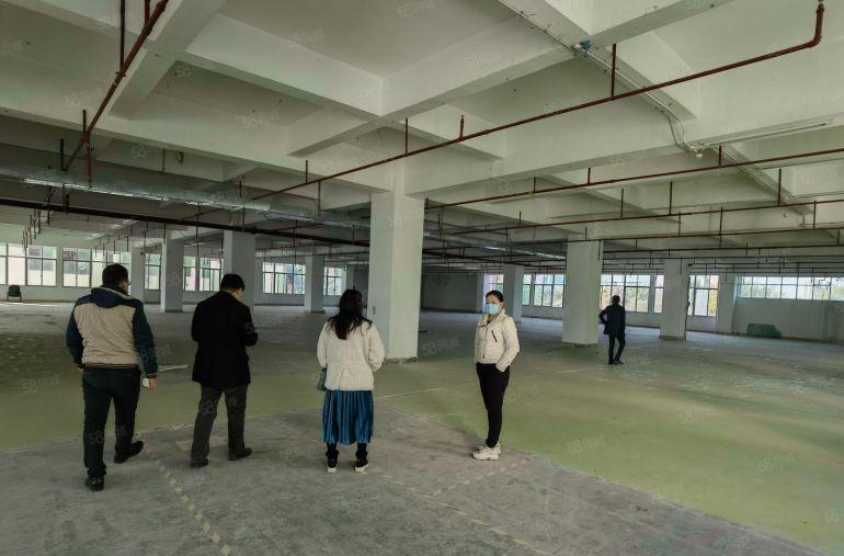 塘厦大坪工业区1000平方红本厂房出租精装修带消费喷淋可分租