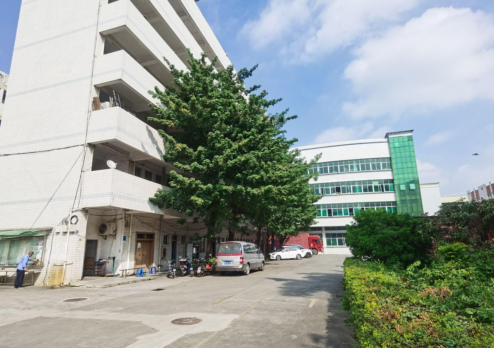 塘厦中心清湖头新出村委楼上一整层1800平带装修厂房仓库出租