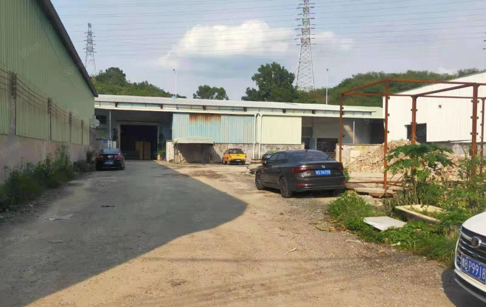 塘厦新出原房东独院钢构单层厂房 合同可签五年 看上面谈