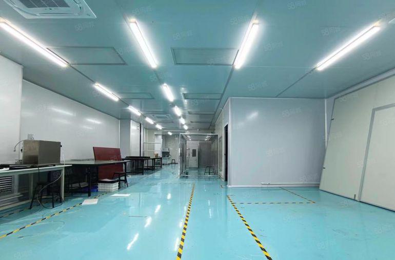 特价出租楼上520平无尘小面积 零公摊厂房 精装修 近高速口