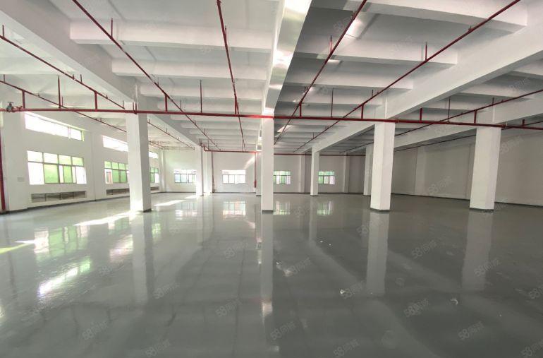 塘厦四村新出厂房一楼2000平层高6米特价全新地坪漆