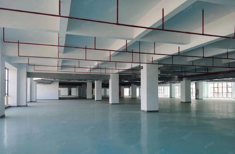 500平起10块单层5000平一房东独院8万平厂房仓库出租